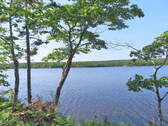 Cape Breton - Third Lake - Wunderschönes See-Uferg - 