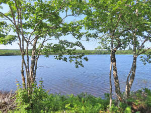 Cape Breton - Third Lake - Wunderschönes See-Uferg - 
