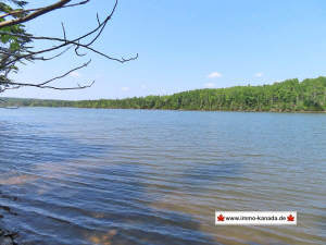 Cape Breton - Hureauville - Tolles Fluss-Ufer-Grun - Grundstück in Hureauville