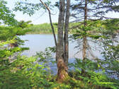 Cape Breton - Hureauville - Tolles Fluss-Ufer-Grun - Grundstück in Hureauville zum Kaufen