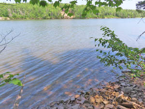 Cape Breton - Hureauville - Tolles Fluss-Ufer-Grun - 