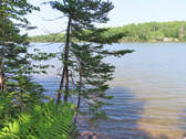 Cape Breton - Hureauville - Tolles Fluss-Ufer-Grun - 