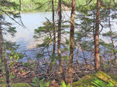 Cape Breton - Hureauville - Tolles Fluss-Ufer-Grun - 