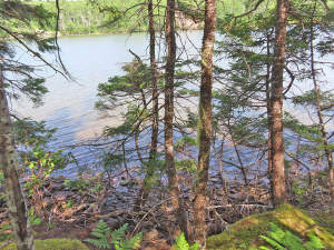 Cape Breton - Hureauville - Tolles Fluss-Ufer-Grun - 