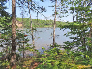 Cape Breton - Hureauville - Tolles Fluss-Ufer-Grun - 