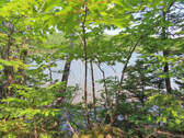 Cape Breton - Hureauville - Tolles Fluss-Ufer-Grun - 