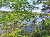 Cape Breton - Hureauville - Tolles Fluss-Ufer-Grun - 