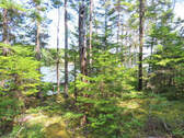 Cape Breton - Hureauville - Tolles Fluss-Ufer-Grun - 