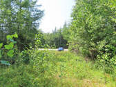 Cape Breton - Hureauville - Tolles Fluss-Ufer-Grun - 