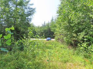 Cape Breton - Hureauville - Tolles Fluss-Ufer-Grun - 
