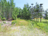 Cape Breton - Hureauville - Tolles Fluss-Ufer-Grun - 