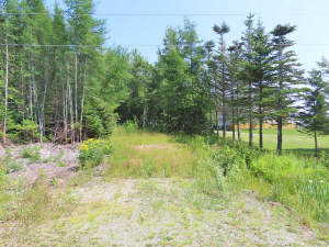 Cape Breton - Hureauville - Tolles Fluss-Ufer-Grun - 