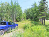 Cape Breton - Hureauville - Tolles Fluss-Ufer-Grun - 