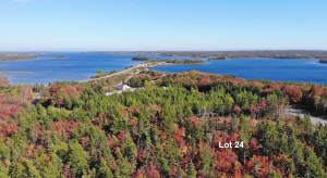 Cape Breton - 37-Hektar-Areal mit Atlantik-Zugang - Grundstück in Louisdale