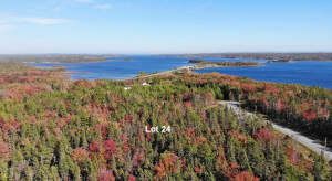 Cape Breton - 37-Hektar-Areal mit Atlantik-Zugang - Grundstück in Louisdale zum Kaufen