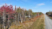 Cape Breton - 37-Hektar-Areal mit Atlantik-Zugang - 