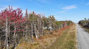 Cape Breton - 37-Hektar-Areal mit Atlantik-Zugang - 