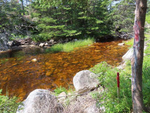 Nova Scotia - English Harbour/Grovers Point - Wund - 