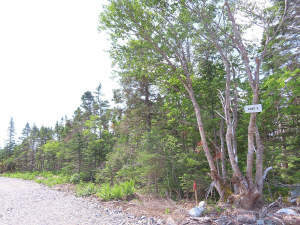 Nova Scotia - English Harbour/Grovers Point - Wund - 