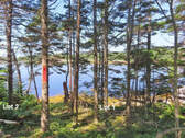 Nova Scotia - English Harbour/Grovers Point - Wund - 