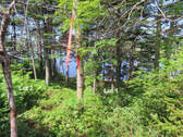 Nova Scotia - English Harbour/Grovers Point - Wund - 