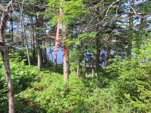 Nova Scotia - English Harbour/Grovers Point - Wund - 