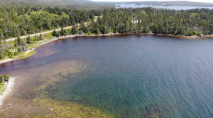 Nova Scotia - English Harbour/Grovers Point - Wund - 