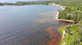 Nova Scotia - English Harbour/Grovers Point - Wund - 
