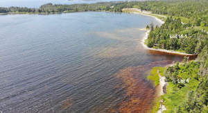 Nova Scotia - English Harbour/Grovers Point - Wund - 