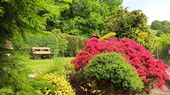hübscher Garten - 