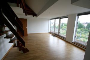 Wohn-Esszimmer - 2 Zimmer Maisonettenwohnung zur Miete in Bonn