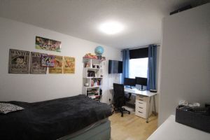 Zimmer - 