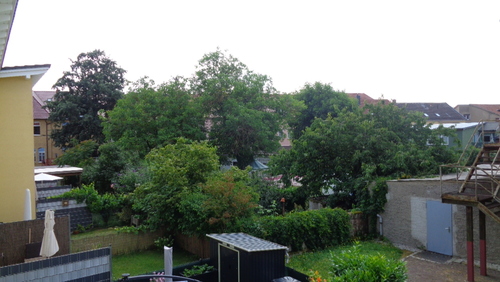 Blick aus dem Kinderzimmer - 