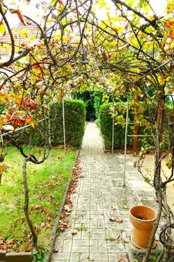 Garten - 4 Zimmer Doppelhaushälfte zum Kaufen in Naumburg (Saale)