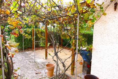 überdachte Terrasse - 4 Zimmer Doppelhaushälfte in Naumburg (Saale)