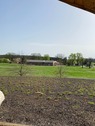 Viel Natur - 