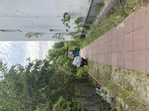 Zugang zum Hof - 