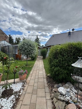 Blick in den Garten - 