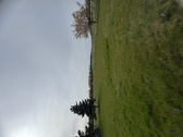 Viel Natur - 