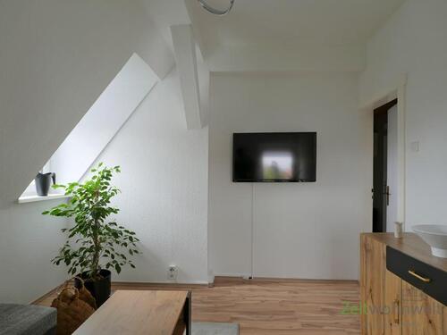 Blick ins Wohnzimmer - (EF1166_M) Halle: Frohe Zukunft, preiswerte möblierte Wohnung in ruhiger, grüner Wohnlage, Service inkl
