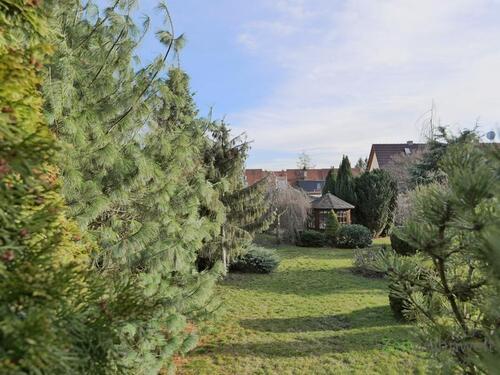 Blick in den Garten - 