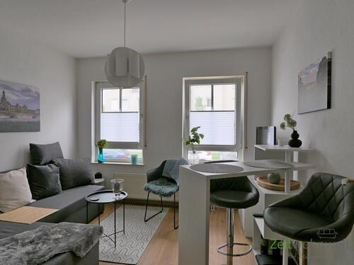 Blick ins Wohnzimmer - (EF1070_M) Dresden: Laubegast, preiswertes möbliertes 2-Zimmer-Apartment, TG-Stellplatz möglich
