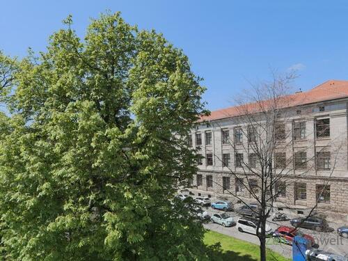 Blick aus dem Küchenfenster - 