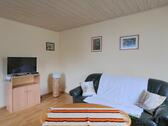 Sofa und TV - 2 Zimmer Etagenwohnung zur Miete in Oberlungwitz
