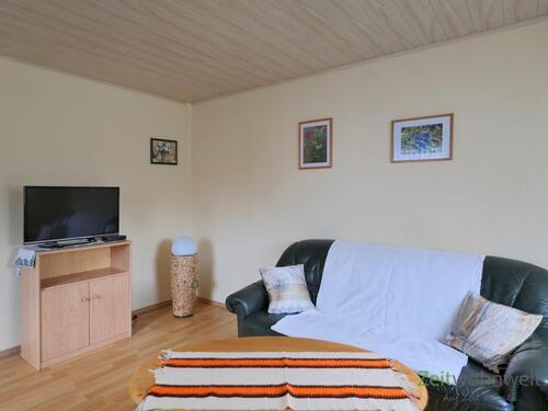 Sofa und TV - 2 Zimmer Etagenwohnung zur Miete in Oberlungwitz