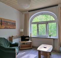 (EF1138_M) Jena: West, neu möblierte 2-Zimmer-Wohnung mit Balkon, Waschmaschine