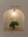 Badnische - 