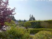 Fernblick - 
