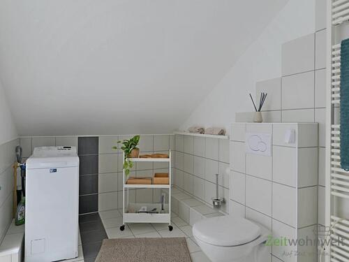 Waschmaschine und WC - 