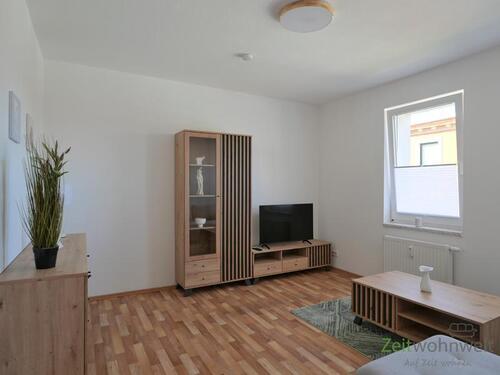 Blick ins Wohnzimmer - (EF1424_M) Halle: Trotha, neu möblierte 2-Zimmer-Wohnung, Garten am Haus, Waschmaschine vorhanden